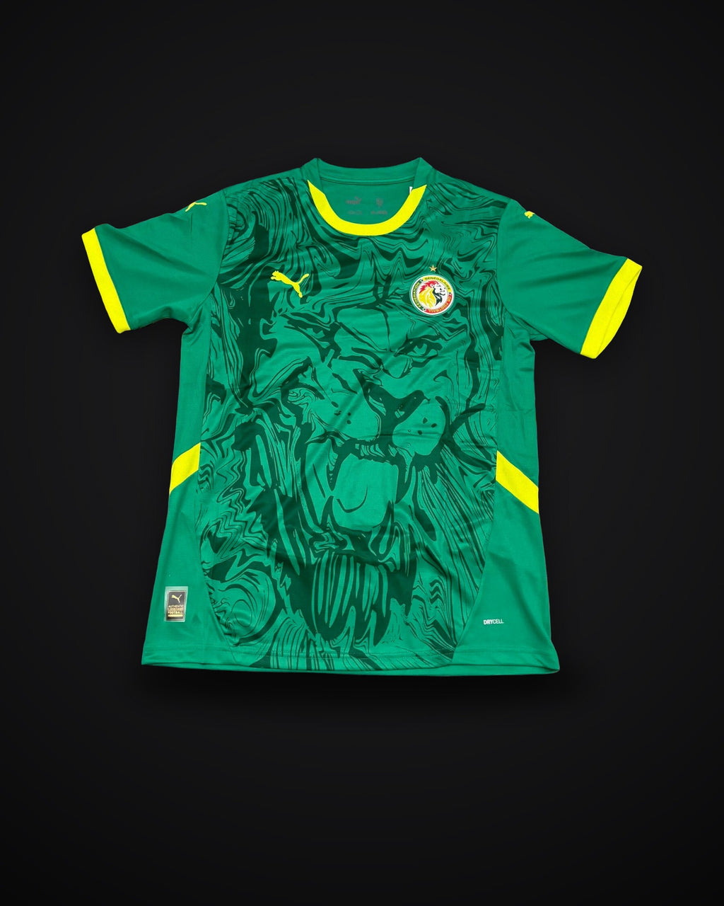 2025/2026 Senegal National Team Away
