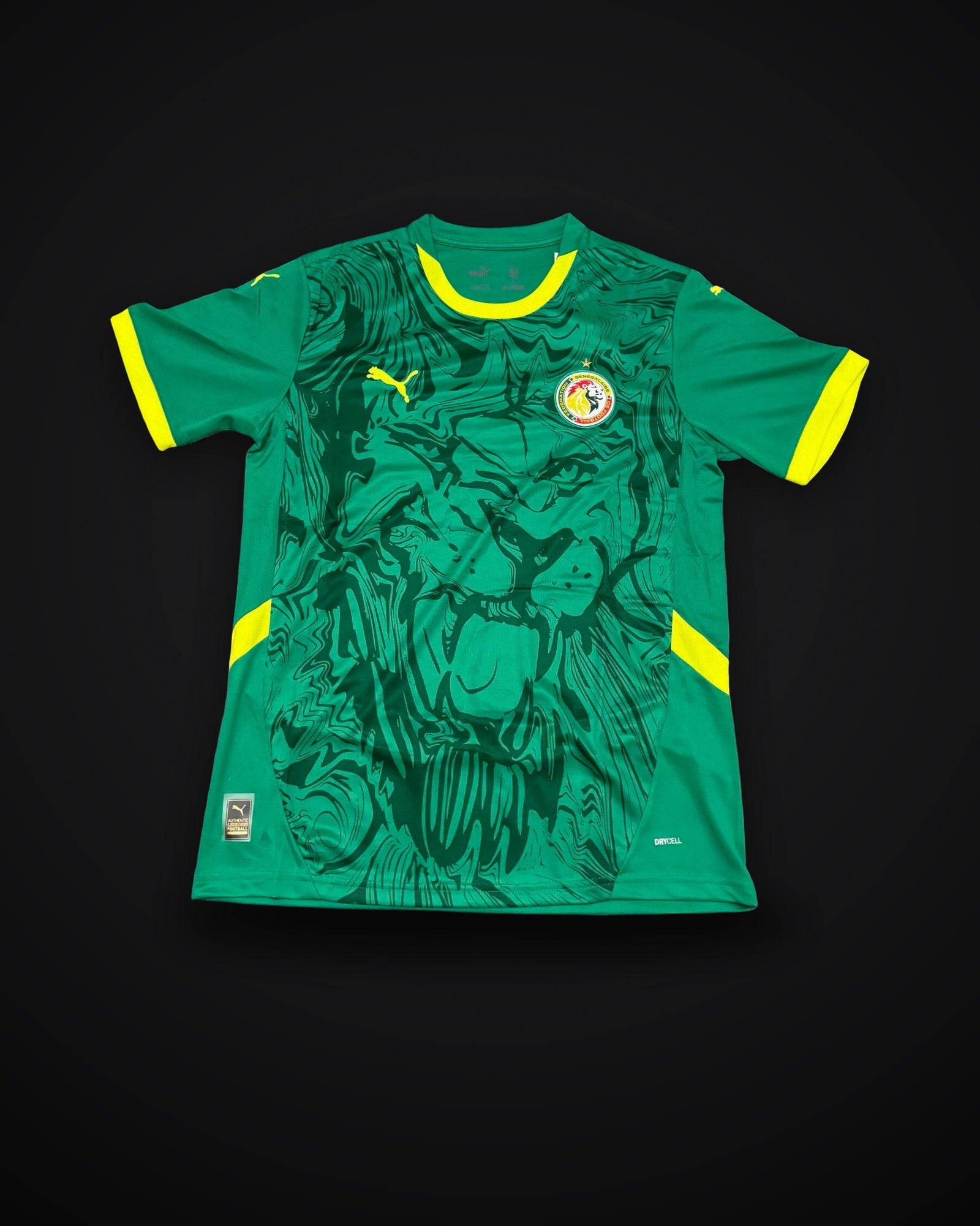 2025/2026 Senegal National Team Away