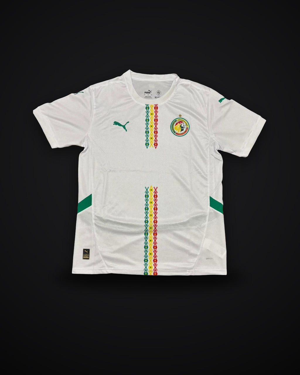 2025/2026 Senegal National Team Home