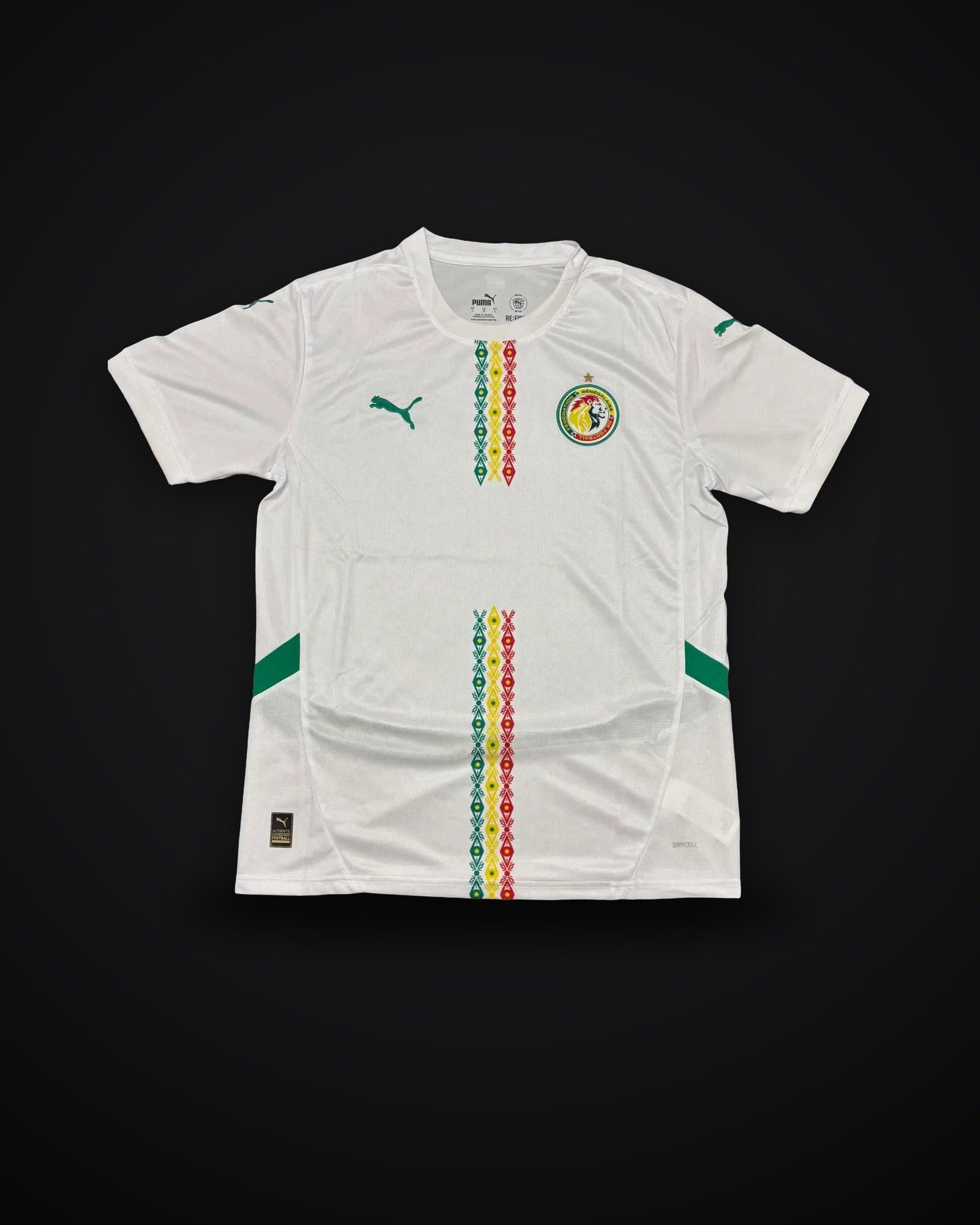 2025/2026 Senegal National Team Home